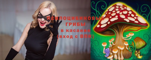 a pvp Алзамай
